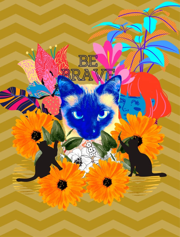 CAT COLORFULL