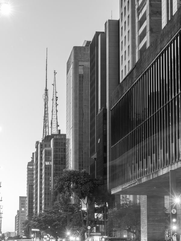 TONS DE CINZA PAULISTA