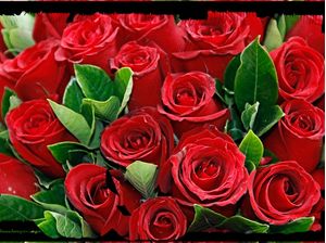 RED FLOWERS
