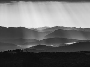 FACHO DE LUZ P&B