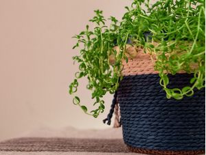 VASO DE PLANTAS
