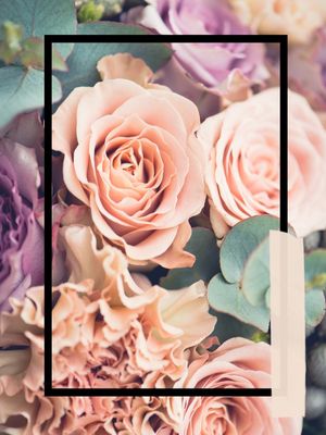 TEA ROSES