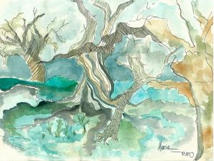 PÂNTANO EM AQUARELA