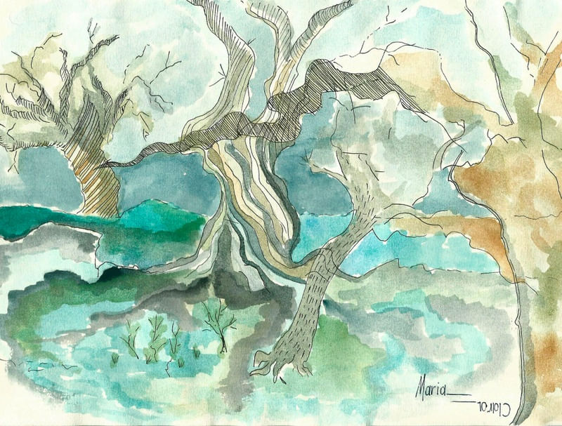 PÂNTANO EM AQUARELA