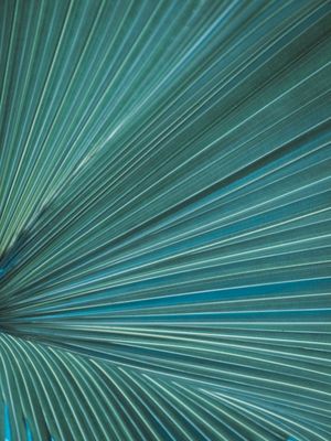ABSTRATO - TEXTURA FOLHA AZUL I