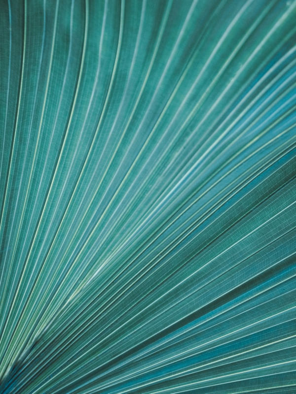ABSTRATO - TEXTURA FOLHA AZUL II
