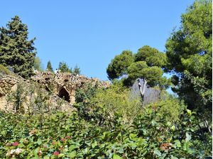 PARK 'GREEN' GÜELL