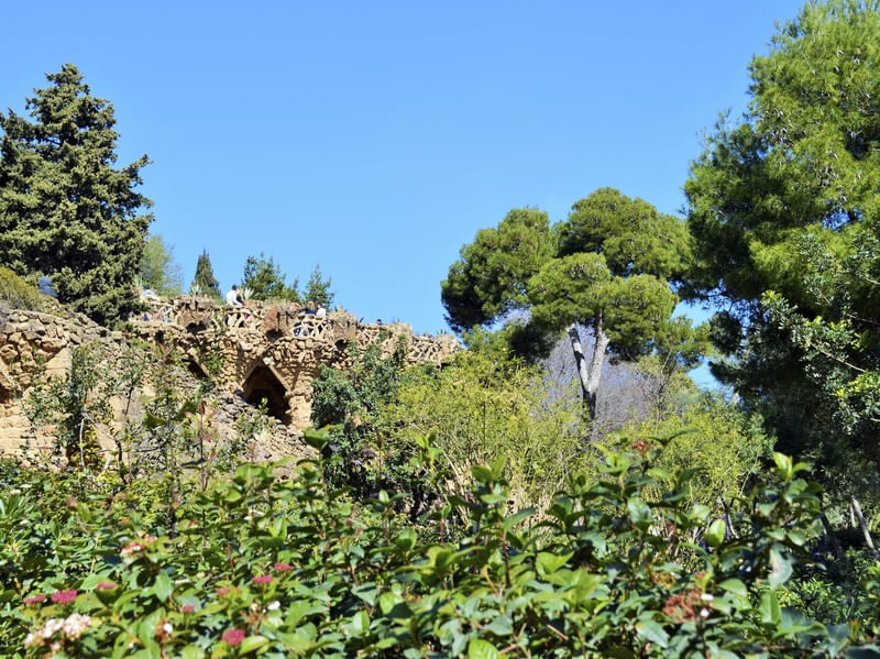 PARK 'GREEN' GÜELL