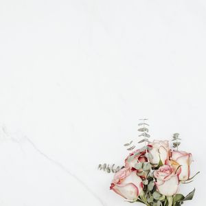 INOCÊNCIA EM FLOR