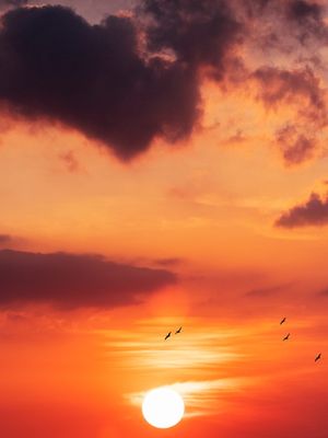 INTO THE SHINING SUN