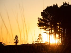 O SOL DE CAMBARÁ 4
