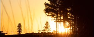 O SOL DE CAMBARÁ 6
