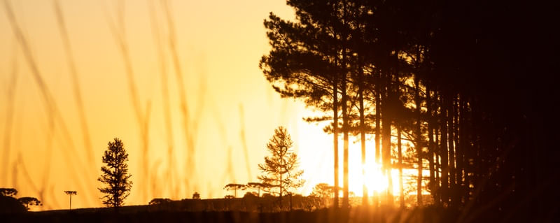 O SOL DE CAMBARÁ 6