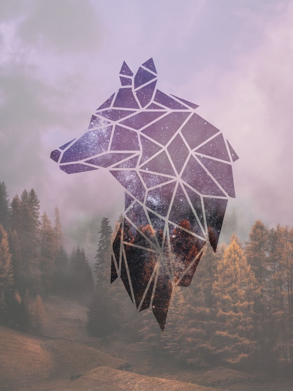 WOLF N1