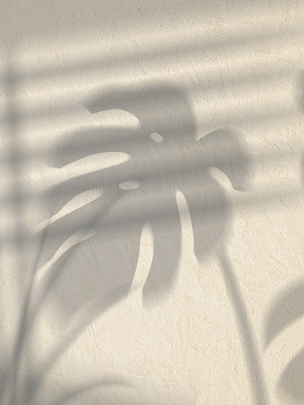 SHADOW II