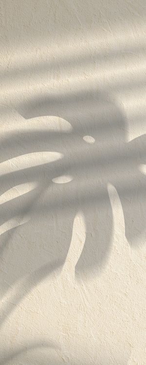 SHADOW V