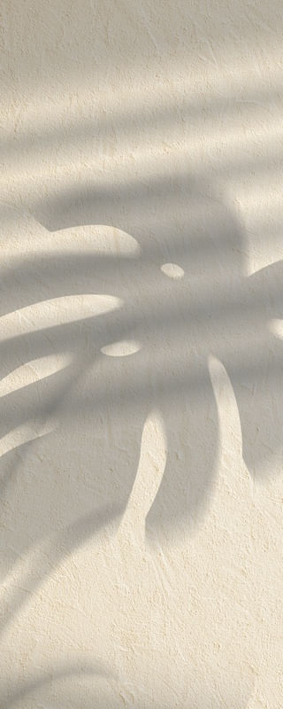 SHADOW V