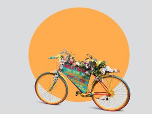 BIKE IRLANDESA