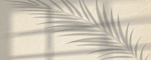 SHADOW IX