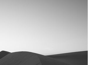 MINIMALISMO ROSADO NIGRI