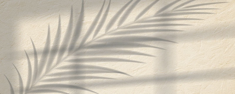 SHADOW XV