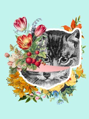 GATOS E FLORES