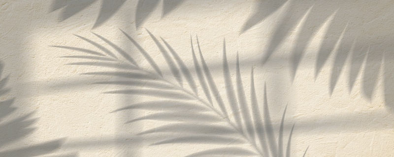 SHADOW XX