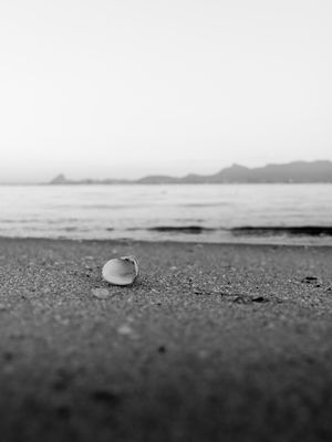 PEQUENAS COISAS DO MAR