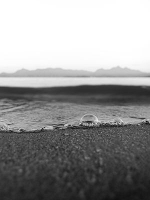 O QUE O MAR OFERECE