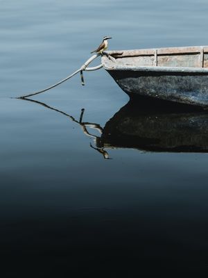 AO SEU REFLEXO