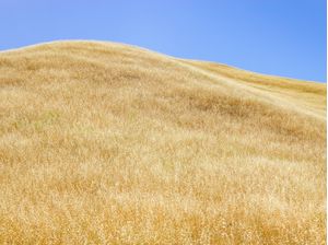 CAMPO SECO SOBRE AS MONTANHAS DA CALIFÓRNIA