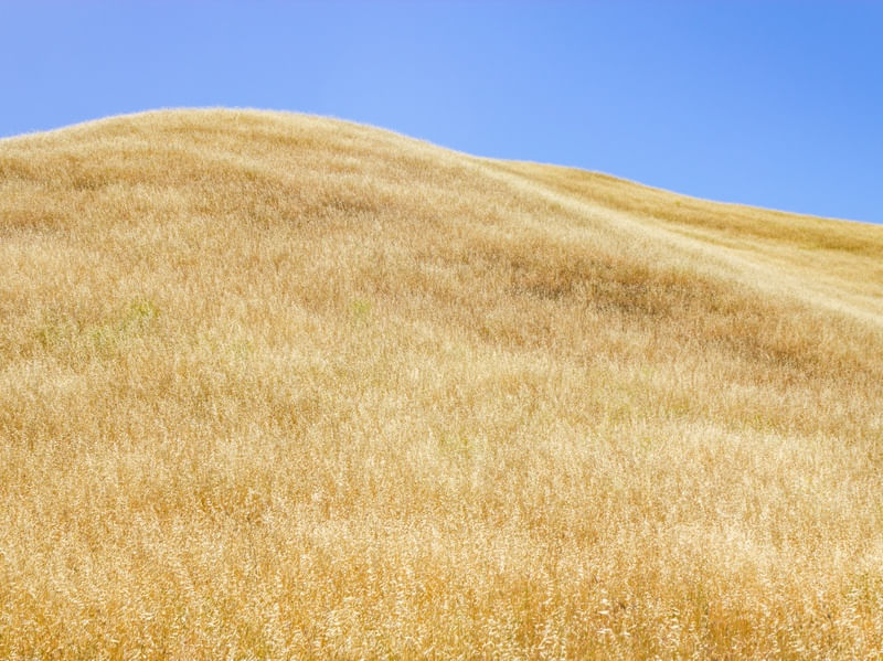 CAMPO SECO SOBRE AS MONTANHAS DA CALIFÓRNIA
