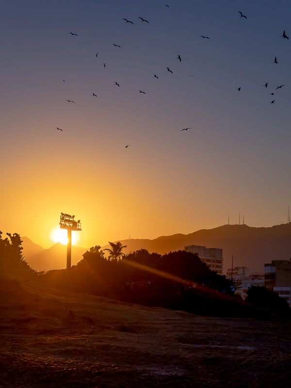 POR DO SOL E GAIVOTAS