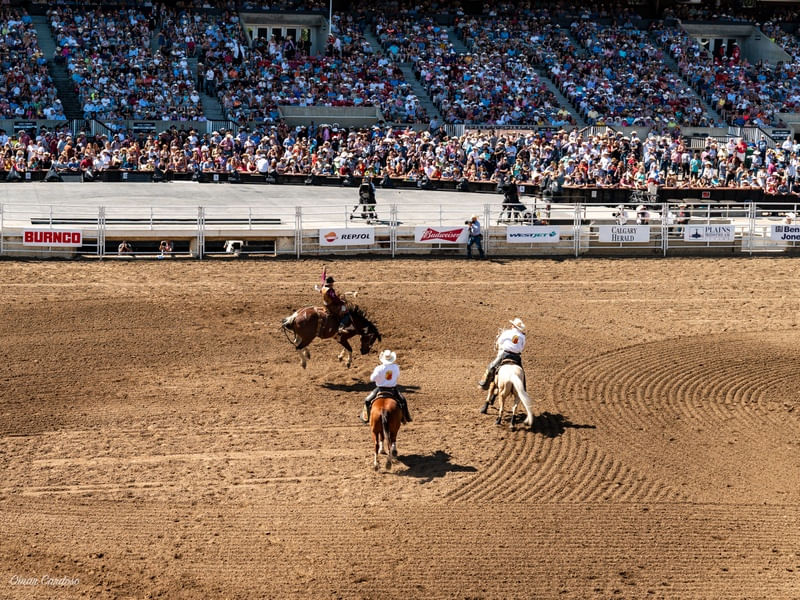 MONTANDO NO STAMPEDE EM CALGARY NO CANADÁ