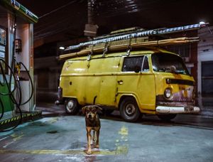 CACHORRO KOMBI