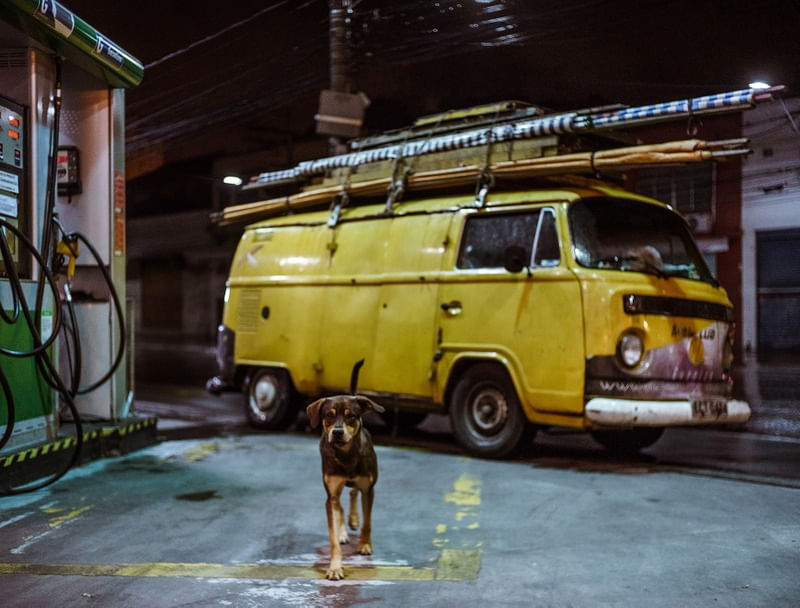 CACHORRO KOMBI