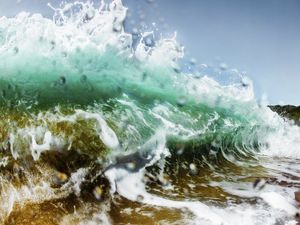 WAVE BRAZIL
