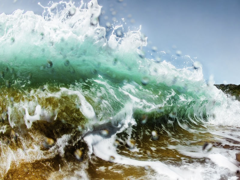 WAVE BRAZIL