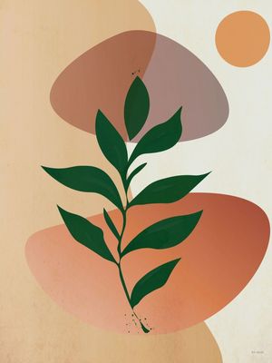 LEAVES AND ROCKS