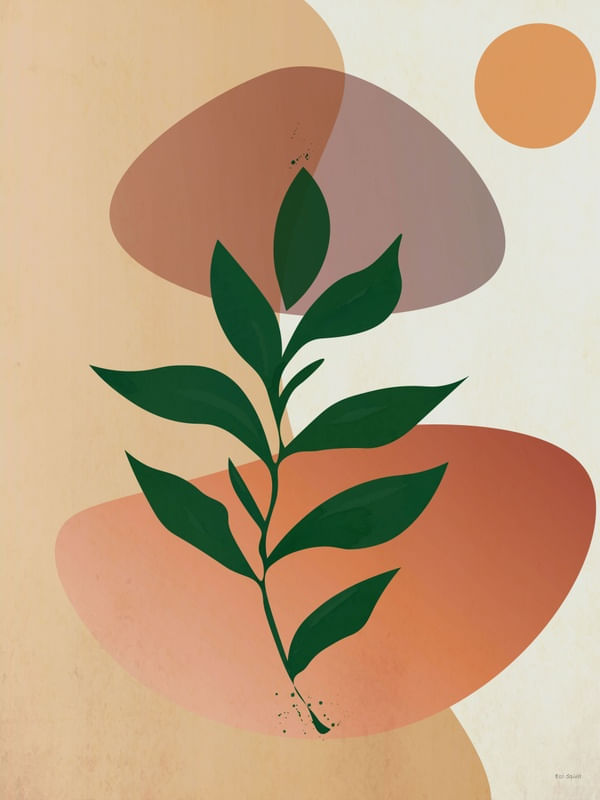 LEAVES AND ROCKS
