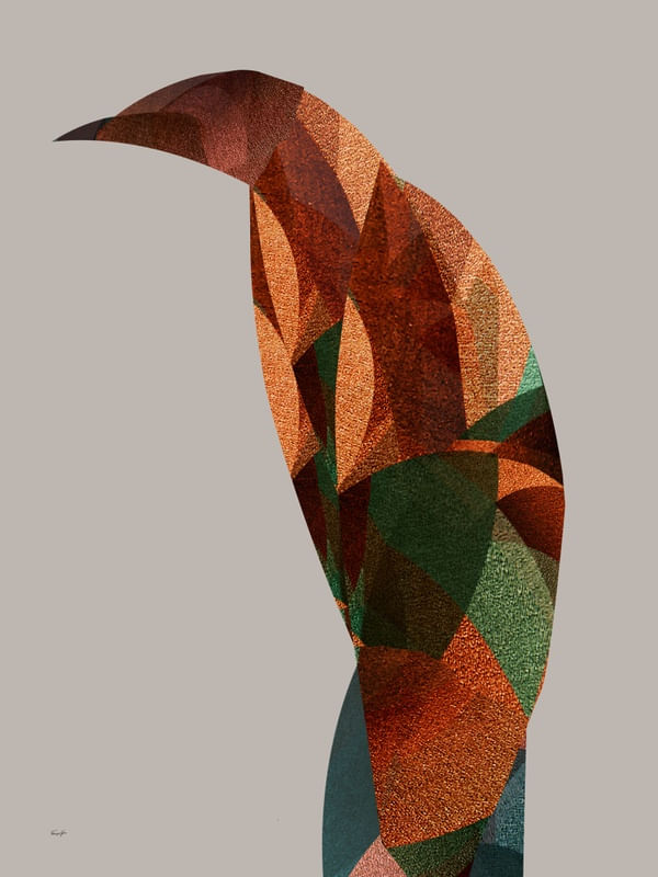 ABSTRACT - BIRD 18.08.21