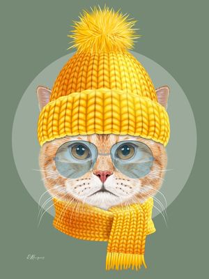 CAT FREEZE
