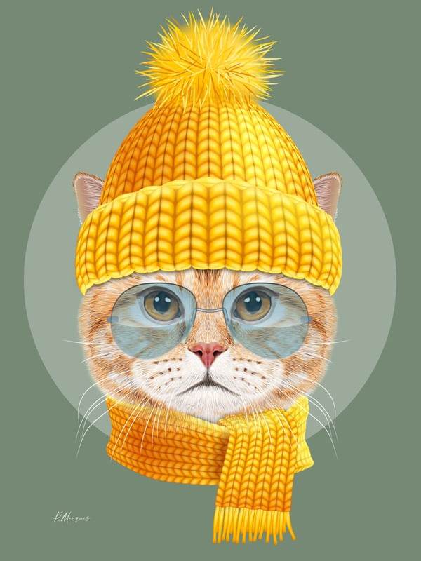 CAT FREEZE
