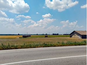 PAISAGENS RURAIS 11