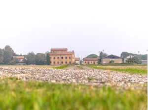 PAISAGENS RURAIS 25