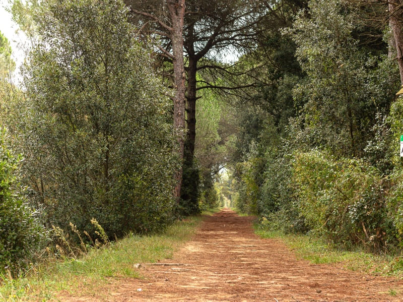 PAISAGENS RURAIS 49