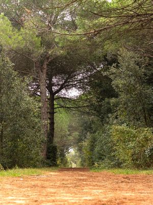 PAISAGENS RURAIS 48