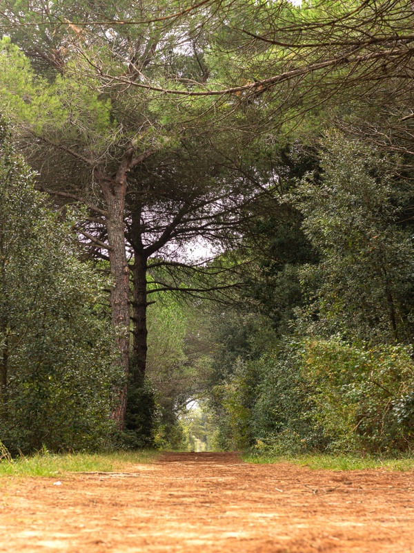 PAISAGENS RURAIS 48