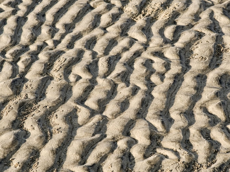 AREIA DA PRAIA - COLEÇÃO TEXTURAS