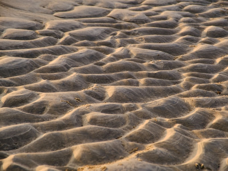 AREIA COM VENTO - COLEÇÃO TEXTURAS
